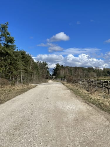 Brucker Lache - Tennenloher Forst