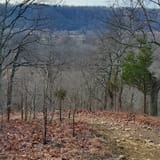 Scotts Gap Loop Trail, Kentucky - 931 Reviews, Map | AllTrails