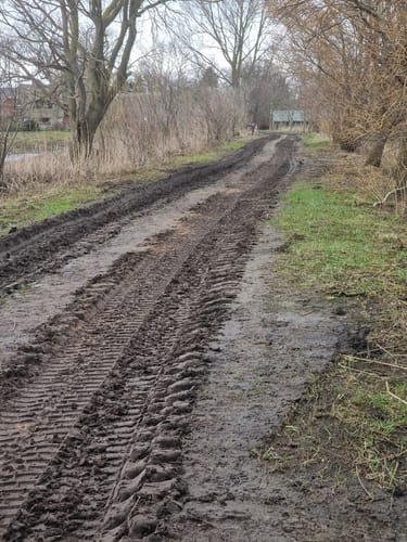 Boddenrundweg von Michaelsdorf bis Neuendorf