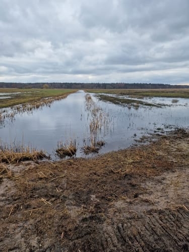 Boddenrundweg von Michaelsdorf bis Neuendorf