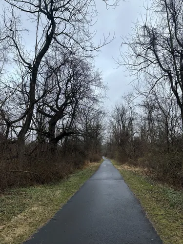 Best Hikes and Trails in Tyler - EyJidWNrZXQiOiJhc3NldHMuYWxsdHJhaWxzLmNvbSIsImtleSI6InVwbG9hZHMvcGhvdG8vaW1hZ2UvNzEzODM4MjcvMjQ0YmJiY2E4MTIwOTZjYWZmNDUwNTU0YzZkYWNkOGUuanBnIiwiZWRpdHMiOnsidG9Gb3JtYXQiOiJ3ZWJwIiwicmVzaXplIjp7IndpZHRoIjo1MDAsImhlaWdodCI6NTAwLCJmaXQiOiJpbnNpZGUifSwicm90YXRlIjpudWxsLCJqcGVnIjp7InRyZWxsaXNRdWFudGlzYXRpb24iOnRydWUsIm92ZXJzaG9vdERlcmluZ2luZyI6dHJ1ZSwib3B0aW1pc2VTY2FucyI6dHJ1ZSwicXVhbnRpc2F0aW9uVGFibGUiOjN9fX0=