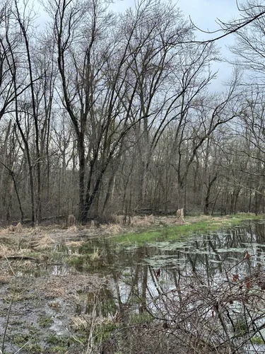 Best Hikes and Trails in Tyler - EyJidWNrZXQiOiJhc3NldHMuYWxsdHJhaWxzLmNvbSIsImtleSI6InVwbG9hZHMvcGhvdG8vaW1hZ2UvNzEzODM4MjgvZjZlZTYwYmRkMTMyNzIzNTQ2ZTQ0ODk4OWRmZjQzMjguanBnIiwiZWRpdHMiOnsidG9Gb3JtYXQiOiJ3ZWJwIiwicmVzaXplIjp7IndpZHRoIjo1MDAsImhlaWdodCI6NTAwLCJmaXQiOiJpbnNpZGUifSwicm90YXRlIjpudWxsLCJqcGVnIjp7InRyZWxsaXNRdWFudGlzYXRpb24iOnRydWUsIm92ZXJzaG9vdERlcmluZ2luZyI6dHJ1ZSwib3B0aW1pc2VTY2FucyI6dHJ1ZSwicXVhbnRpc2F0aW9uVGFibGUiOjN9fX0=