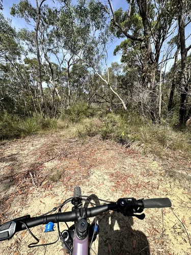 Mill creek mtb store trails