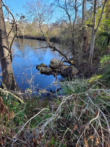 Best Trail Running Trails in Live - EyJidWNrZXQiOiJhc3NldHMuYWxsdHJhaWxzLmNvbSIsImtleSI6InVwbG9hZHMvcGhvdG8vaW1hZ2UvNzEzODk0NDQvNWFmYzQ1YWNhOWFhNjNmNDk2YTExNGNkMmYxYjUyNDMuanBnIiwiZWRpdHMiOnsidG9Gb3JtYXQiOiJ3ZWJwIiwicmVzaXplIjp7IndpZHRoIjo1MDAsImhlaWdodCI6NTAwLCJmaXQiOiJpbnNpZGUifSwicm90YXRlIjpudWxsLCJqcGVnIjp7InRyZWxsaXNRdWFudGlzYXRpb24iOnRydWUsIm92ZXJzaG9vdERlcmluZ2luZyI6dHJ1ZSwib3B0aW1pc2VTY2FucyI6dHJ1ZSwicXVhbnRpc2F0aW9uVGFibGUiOjN9fX0=