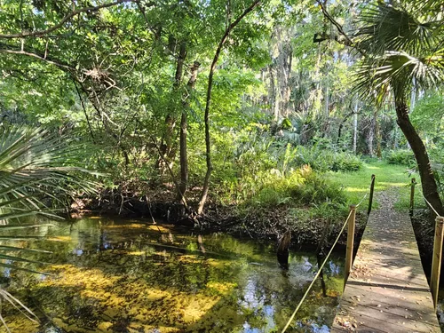 Best Hikes and Trails in Orlando Wetlands Park | AllTrails