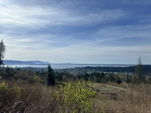 Best Hikes and Trails in Samish Crest Open Space | AllTrails