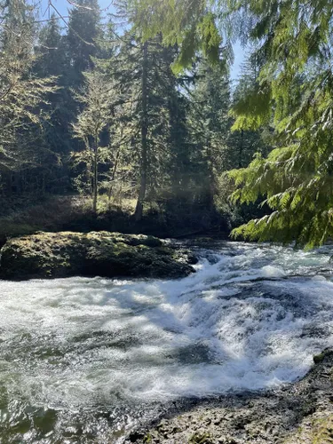 Best Hikes and Trails in Chehalis | AllTrails