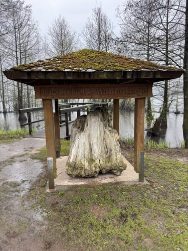 Um den Vörder See