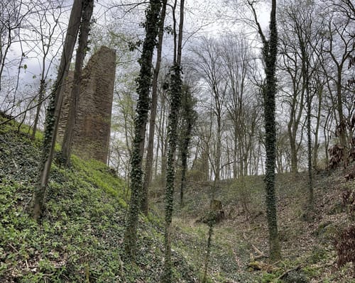 Um Schneitweg und Schloss Karlstein