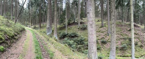 Um Schneitweg und Schloss Karlstein