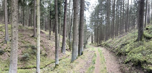 Um Schneitweg und Schloss Karlstein