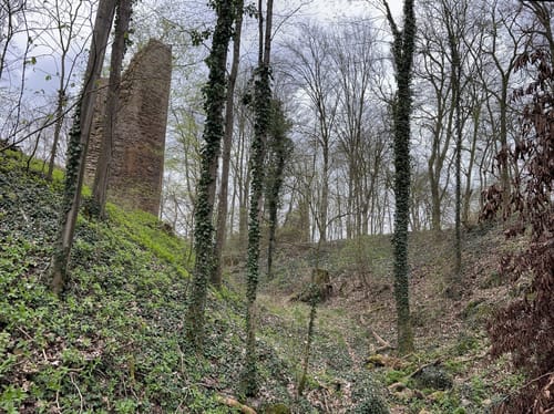 Um Schneitweg und Schloss Karlstein