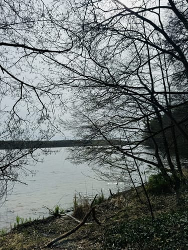 Flakensee