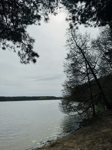 Flakensee