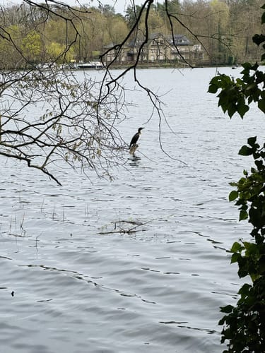 Flakensee