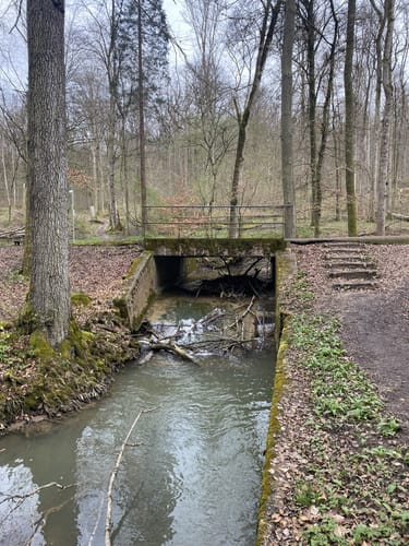 HOCHGEHBERGE I "hochgehwachsen" (Premiumspazierwanderweg)