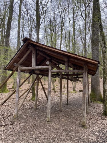 HOCHGEHBERGE I "hochgehwachsen" (Premiumspazierwanderweg)