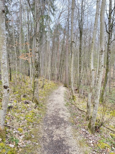 HOCHGEHBERGE I "hochgehwachsen" (Premiumspazierwanderweg)
