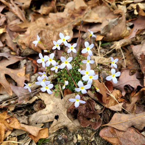 Best Dogs On Leash Trails in Westmoreland State Park AllTrails