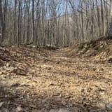 Sand Cave and White Rocks via Ewing Trail, Virginia - 1,171 Reviews ...