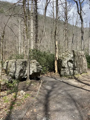 Best Stroller Friendly Trails in - EyJidWNrZXQiOiJhc3NldHMuYWxsdHJhaWxzLmNvbSIsImtleSI6InVwbG9hZHMvcGhvdG8vaW1hZ2UvNzI0NTc0MDcvOWY0Yjc3NmJmZjA5MDU5OTZmYmYxY2MwNWJkZGMyYjMuanBnIiwiZWRpdHMiOnsidG9Gb3JtYXQiOiJ3ZWJwIiwicmVzaXplIjp7IndpZHRoIjo1MDAsImhlaWdodCI6NTAwLCJmaXQiOiJpbnNpZGUifSwicm90YXRlIjpudWxsLCJqcGVnIjp7InRyZWxsaXNRdWFudGlzYXRpb24iOnRydWUsIm92ZXJzaG9vdERlcmluZ2luZyI6dHJ1ZSwib3B0aW1pc2VTY2FucyI6dHJ1ZSwicXVhbnRpc2F0aW9uVGFibGUiOjN9fX0=