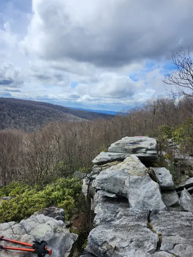 Best Hikes and Trails in Ligonier | AllTrails