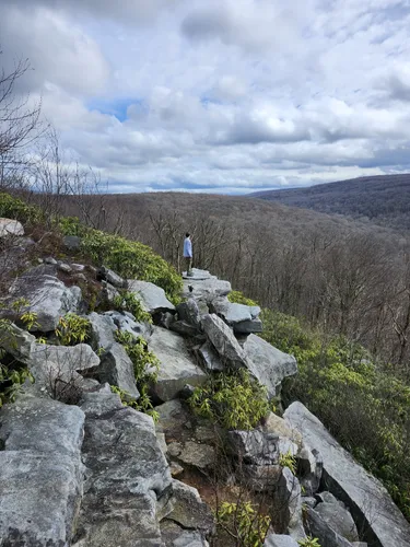 Best Hikes and Trails in Ligonier | AllTrails