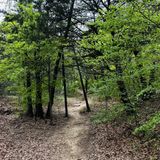 Cross Timbers Hiking Trail, Texas - 1,349 Reviews, Map | AllTrails