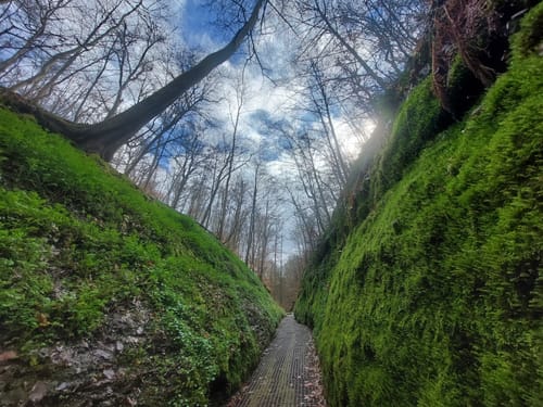 Drachenschlucht