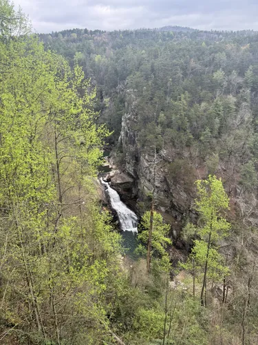 Best Hikes and Trails in Tallulah - EyJidWNrZXQiOiJhc3NldHMuYWxsdHJhaWxzLmNvbSIsImtleSI6InVwbG9hZHMvcGhvdG8vaW1hZ2UvNzI0ODI1MDkvNWRlNDg5M2IyYWI0MDJhYjMwMjBlOGUyMDQzZmU2MjQuanBnIiwiZWRpdHMiOnsidG9Gb3JtYXQiOiJ3ZWJwIiwicmVzaXplIjp7IndpZHRoIjo1MDAsImhlaWdodCI6NTAwLCJmaXQiOiJpbnNpZGUifSwicm90YXRlIjpudWxsLCJqcGVnIjp7InRyZWxsaXNRdWFudGlzYXRpb24iOnRydWUsIm92ZXJzaG9vdERlcmluZ2luZyI6dHJ1ZSwib3B0aW1pc2VTY2FucyI6dHJ1ZSwicXVhbnRpc2F0aW9uVGFibGUiOjN9fX0=