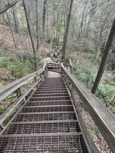 Best Hikes and Trails in Tallulah - EyJidWNrZXQiOiJhc3NldHMuYWxsdHJhaWxzLmNvbSIsImtleSI6InVwbG9hZHMvcGhvdG8vaW1hZ2UvNzI0ODI1MTAvMzJiMmM3ODUwMGUwZmE1ODVkOWYxZTRkNmViY2NkNjIuanBnIiwiZWRpdHMiOnsidG9Gb3JtYXQiOiJ3ZWJwIiwicmVzaXplIjp7IndpZHRoIjo1MDAsImhlaWdodCI6NTAwLCJmaXQiOiJpbnNpZGUifSwicm90YXRlIjpudWxsLCJqcGVnIjp7InRyZWxsaXNRdWFudGlzYXRpb24iOnRydWUsIm92ZXJzaG9vdERlcmluZ2luZyI6dHJ1ZSwib3B0aW1pc2VTY2FucyI6dHJ1ZSwicXVhbnRpc2F0aW9uVGFibGUiOjN9fX0=