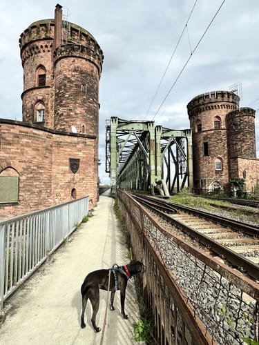 Mainzer Brückentour