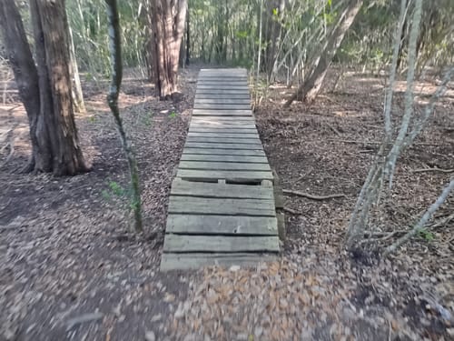 Jack brooks mountain bike trails hotsell