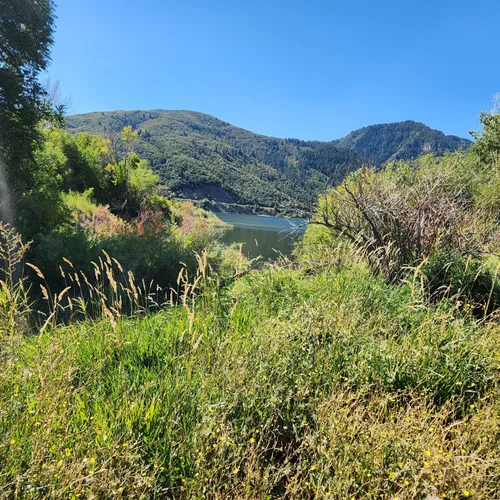 Best Kid Friendly Trails in Eden AllTrails