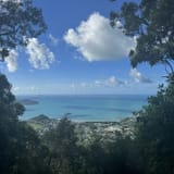 Honeyeater Lookout Trail Entrance