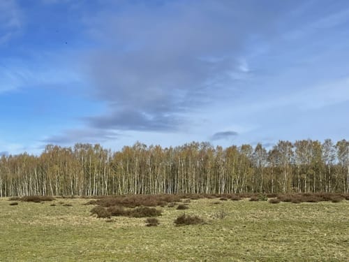 Runde am Möwenmoor