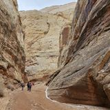 Grand Wash Trail via Northeast Trailhead, Utah - 2,328 Reviews, Map ...