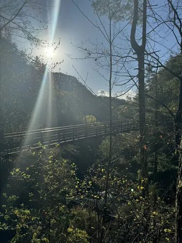 Best Hikes and Trails in Tallulah - EyJidWNrZXQiOiJhc3NldHMuYWxsdHJhaWxzLmNvbSIsImtleSI6InVwbG9hZHMvcGhvdG8vaW1hZ2UvNzI1MTk3NDAvYTUwN2Q1MGQxOWFiMTY4ZmU5ZWZlZGE4NGI0N2IzYWUuanBnIiwiZWRpdHMiOnsidG9Gb3JtYXQiOiJ3ZWJwIiwicmVzaXplIjp7IndpZHRoIjo1MDAsImhlaWdodCI6NTAwLCJmaXQiOiJpbnNpZGUifSwicm90YXRlIjpudWxsLCJqcGVnIjp7InRyZWxsaXNRdWFudGlzYXRpb24iOnRydWUsIm92ZXJzaG9vdERlcmluZ2luZyI6dHJ1ZSwib3B0aW1pc2VTY2FucyI6dHJ1ZSwicXVhbnRpc2F0aW9uVGFibGUiOjN9fX0=