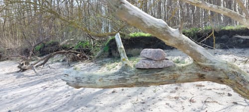Strandspaziergang Schwarzer Busch