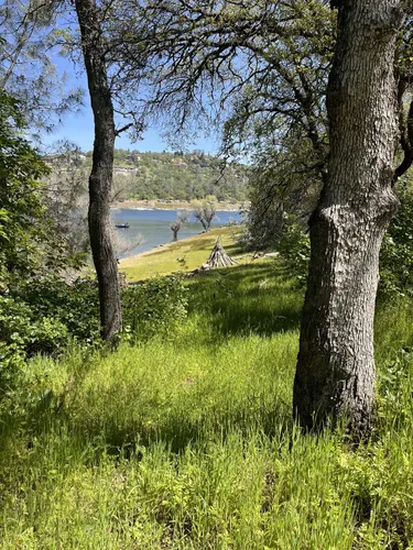 Best Forest Trails in El Dorado Hills | AllTrails