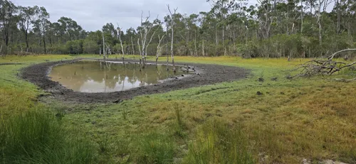 Best Forest Trails in Werakata National Park AllTrails