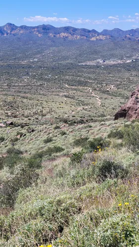 Best Trail Running Trails in Lost - EyJidWNrZXQiOiJhc3NldHMuYWxsdHJhaWxzLmNvbSIsImtleSI6InVwbG9hZHMvcGhvdG8vaW1hZ2UvNzI1MzkyMTUvYWExNDZkNzVkMzBmZWM2ZGNlMzJmNzE2NDg2ZGQ2YTUuanBnIiwiZWRpdHMiOnsidG9Gb3JtYXQiOiJ3ZWJwIiwicmVzaXplIjp7IndpZHRoIjo1MDAsImhlaWdodCI6NTAwLCJmaXQiOiJpbnNpZGUifSwicm90YXRlIjpudWxsLCJqcGVnIjp7InRyZWxsaXNRdWFudGlzYXRpb24iOnRydWUsIm92ZXJzaG9vdERlcmluZ2luZyI6dHJ1ZSwib3B0aW1pc2VTY2FucyI6dHJ1ZSwicXVhbnRpc2F0aW9uVGFibGUiOjN9fX0=