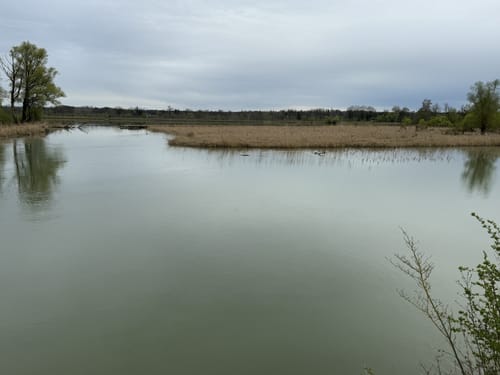 Ering Tour 18 - Wandern in Naturschutzgebiet Unterer Inn