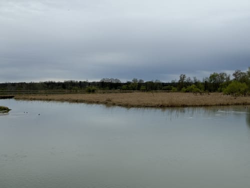 Ering Tour 18 - Wandern in Naturschutzgebiet Unterer Inn