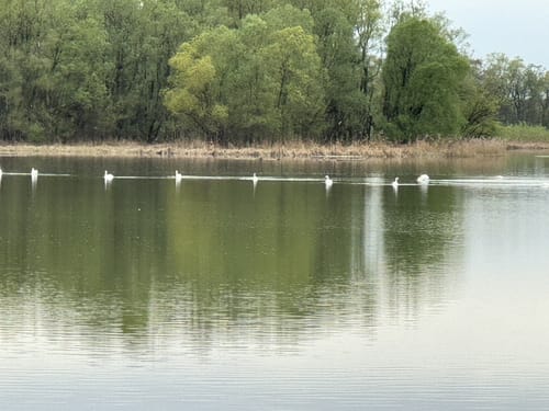 Ering Tour 18 - Wandern in Naturschutzgebiet Unterer Inn