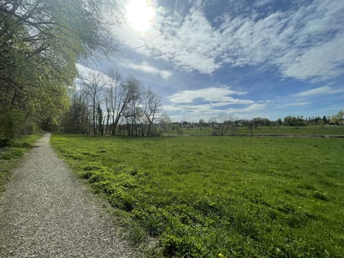 Freisinger Moos ab Altstadt