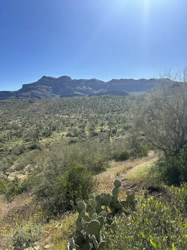 Best Moderate Trails in Peralta Regional Park | AllTrails