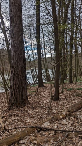 Mittelsee und Langer Haussee