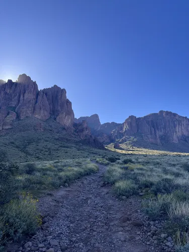 Best Trail Running Trails in Lost - EyJidWNrZXQiOiJhc3NldHMuYWxsdHJhaWxzLmNvbSIsImtleSI6InVwbG9hZHMvcGhvdG8vaW1hZ2UvNzI1NTg0MzAvY2ZmNTU2ODM0N2E2NDUyMWIzYWFiMWFmYWQzNWFkOGUuanBnIiwiZWRpdHMiOnsidG9Gb3JtYXQiOiJ3ZWJwIiwicmVzaXplIjp7IndpZHRoIjo1MDAsImhlaWdodCI6NTAwLCJmaXQiOiJpbnNpZGUifSwicm90YXRlIjpudWxsLCJqcGVnIjp7InRyZWxsaXNRdWFudGlzYXRpb24iOnRydWUsIm92ZXJzaG9vdERlcmluZ2luZyI6dHJ1ZSwib3B0aW1pc2VTY2FucyI6dHJ1ZSwicXVhbnRpc2F0aW9uVGFibGUiOjN9fX0=