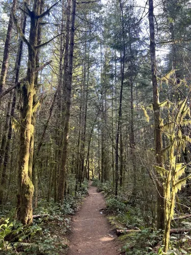 Best Views Trails in Woodinville | AllTrails